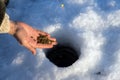 The fishermanÃ¢â¬â¢s hand holds fish bait over hole for catching fish, on the surface of a snow-covered lake